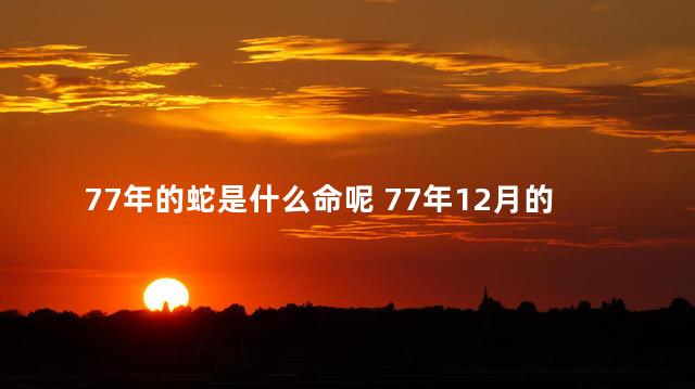 77年的蛇是什么命呢 77年12月的蛇是什么命